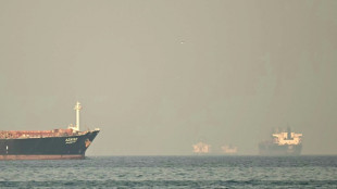 Le blocage du d&eacute;troit d'Ormuz, un "gel sans pr&eacute;c&eacute;dent" du commerce maritime mondial