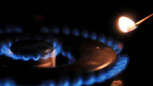 Gme, prezzo gas in Italia in ribasso a 44,62 euro al MWh