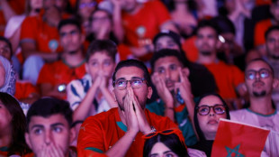 Disappointment at Morocco's World Cup exit cannot mask pride