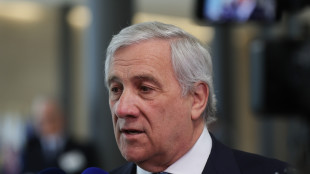 Tajani, 'Araghchi mi ha garantito la partenza sicura della nave Grimaldi'