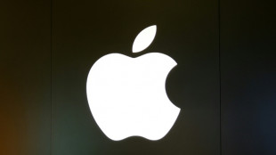 Apple loses challenge against EU digital competition rules