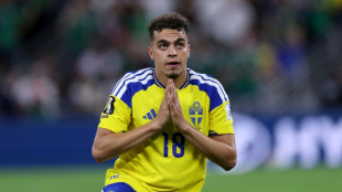 Diaspora World Cup champions diversity over division