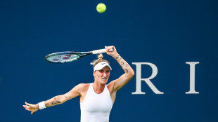 Banned Vondrousova insists she has 'never doped'