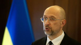 Kiev y Rep&uacute;blica Checa acuerdan producir fusiles y municiones en Ucrania