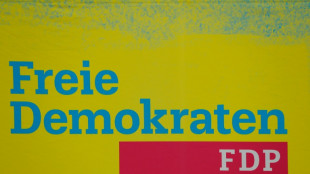 FDP warnt Union und SPD vor Finanzierung der Bundeswehr &uuml;ber Sonderverm&ouml;gen