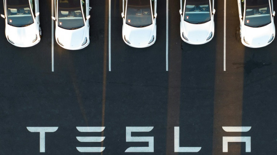 Landesregierung in Potsdam informiert &uuml;ber Genehmigung f&uuml;r Tesla-Ansiedlung