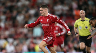 FIFA-Report: Transferrekorde bei Männern und Frauen