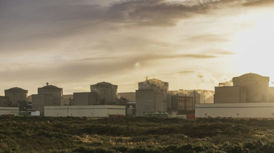 La presencia de medusas paraliza la mayor central nuclear de Francia