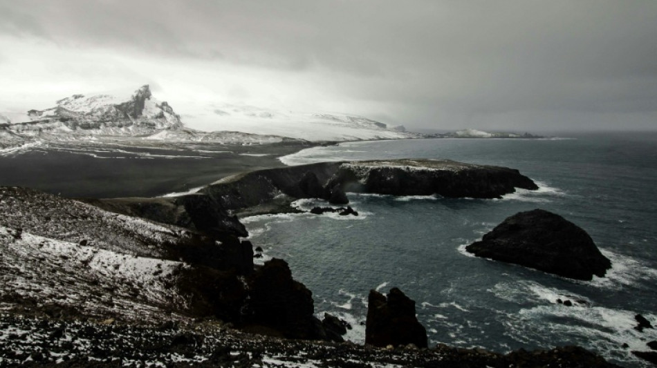 Bird flu kills 13,000 seal pups on remote Australian island