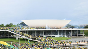 Brasil pedir&aacute; a Argentina la extradici&oacute;n de pr&oacute;fugos por la asonada en Brasilia