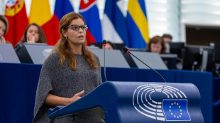 Ilaria Salis, 'questo voto una vittoria per la democrazia'