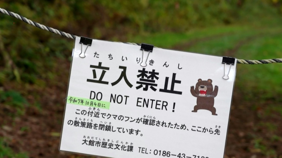 Un oso irrumpe violentamente y hiere a cuatro personas en Jap&oacute;n