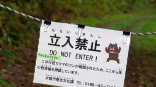 Un oso irrumpe violentamente y hiere a cuatro personas en Jap&oacute;n