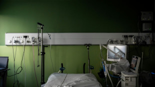 Fran&ccedil;a registra primeiro caso do v&iacute;rus Shamonda em humanos