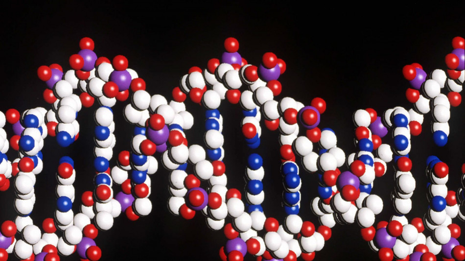 Anche il Dna ereditato alla nascita decide il destino dei tumori