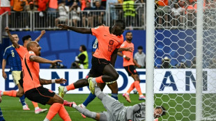 Dutch swat Sweden as Germany, Ivory Coast eye World Cup knockout rounds