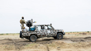 Nigerianische Luftwaffe meldet Tötung von mehr als 35 Dschihadisten nahe Kamerun