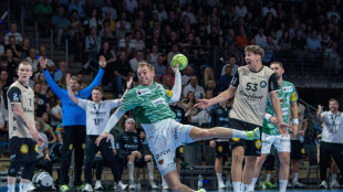 HBL: Füchse starten mit deutlichem Heimsieg in die neue Saison
