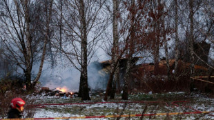 Alemania plantea la posibilidad de una interferencia en el mortal accidente de un avi&oacute;n en Lituania
