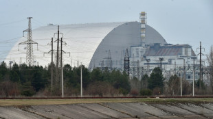 Kiew: Erh&ouml;hte Strahlenwerte in Sperrzone von Tschernobyl gemessen