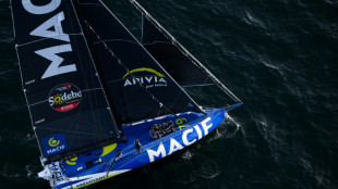 Vend&eacute;e Globe: Dalin au sud du Cap Vert et fonce vers l'arriv&eacute;e