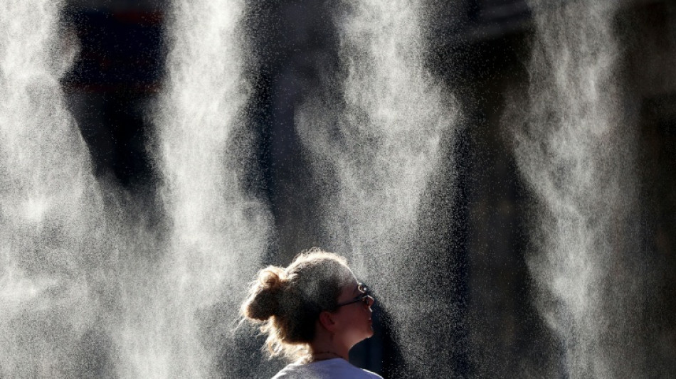 Canicule en Europe: l'ONU juge "possible" qu'il s'agisse d'une vague de chaleur record
