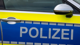 Rund 200 Aktivisten dringen auf Kraftwerksgel&auml;nde in Gelsenkirchen ein