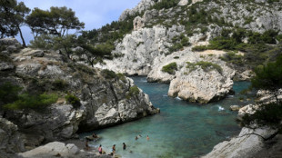A Marseille, le pass obligatoire pour acc&eacute;der &agrave; une crique fait aussi des heureux