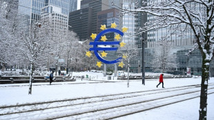 Euro num&eacute;rique: la BCE presse l'UE d'&eacute;viter tout retard l&eacute;gislatif