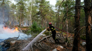 Fontainebleau: le combat continue contre les reprises de feux, Macron sur place jeudi