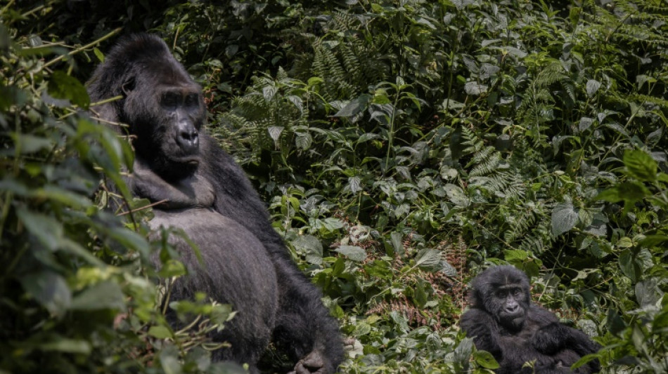 La comunidad internacional vuelve a la mesa de negociaci&oacute;n sobre la biodiversidad