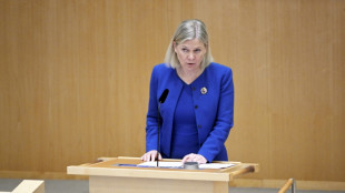 Parlamente in Finnland und Schweden debattieren &uuml;ber Nato-Beitritt