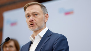 Ex-Wahlkampfberater spottet &uuml;ber Lindner: Zur schw&auml;bischen Hausfrau geschrumpft