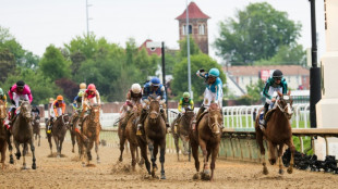 Courses suspendues &agrave; Churchill Downs apr&egrave;s une h&eacute;catombe de chevaux