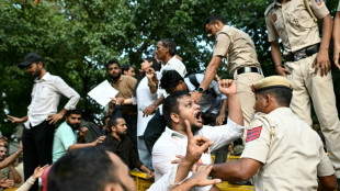 Dans les rues de New Delhi, une foule d'Indiens pour "d&eacute;fendre la voix du peuple"