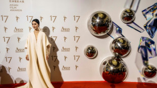 Chinese star Fan Bingbing wins Taiwan top film award