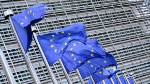 EU-Abkommen: Deutschland muss vorerst keine Fl&uuml;chtlinge aus anderen EU-L&auml;ndern aufnehmen