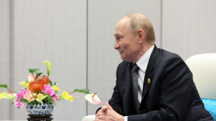 SOZ-Gipfel: Putin trifft Irans Staatschef Peseschkian zu Gespräch über Atomprogramm