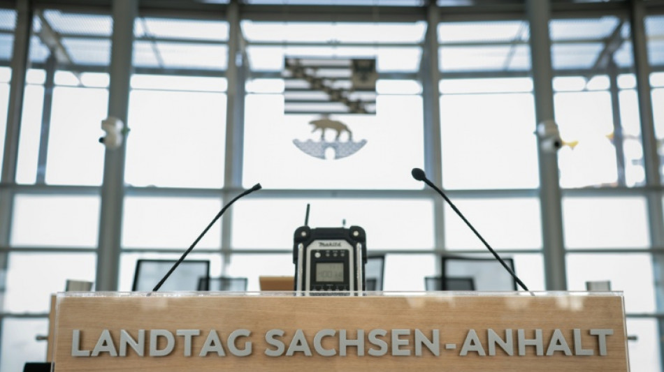 Sachsen-Anhalt: AfD und BSW setzen gemeinsamen Antrag gegen Ukraine-Hilfen durch