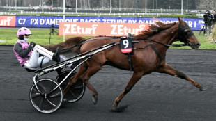 Prix de Paris: quatorze cracks trotteurs au d&eacute;part du marathon de Vincennes 

