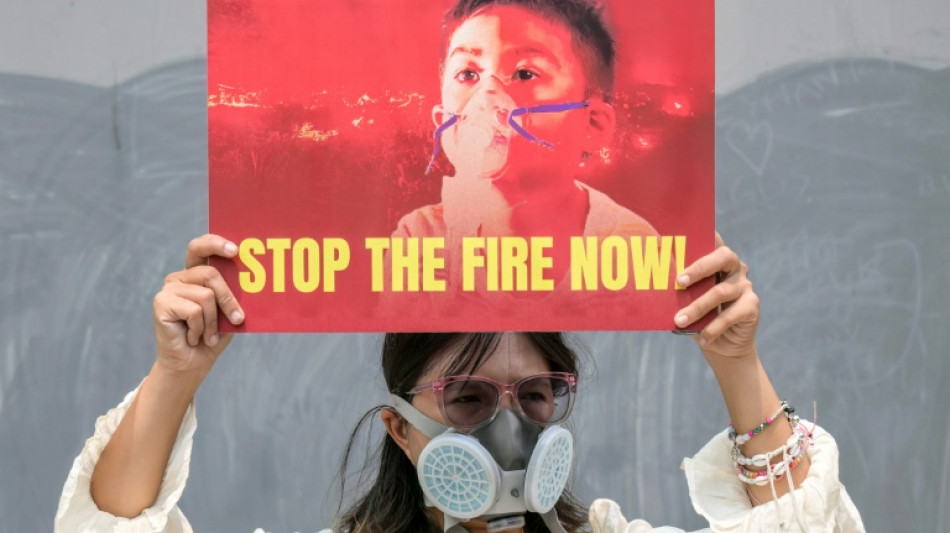 Apr&egrave;s des mois d'incendies en Indon&eacute;sie, les entreprises dans le viseur