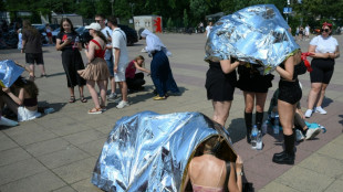 Linke dringt auf umfassende Konzepte zum Hitzeschutz