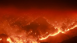 La ONU alerta del alza récord de CO2 en la atmósfera en 2024