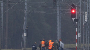 Polonia sospecha que sabotaje de l&iacute;nea f&eacute;rrea fue cometido por un "servicio de inteligencia extranjero"