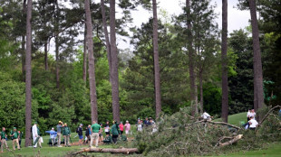 Fans escape without injury after towering trees fall at Masters