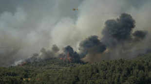 Dans l'Aude, le plus gros incendie de l'été fait un blessé grave et oblige à fermer l'A9