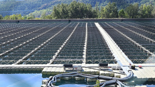 Sabato (Acea), 'per transizione servono regole chiare e tempi certi'