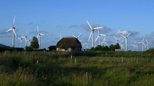 Kabinett beschlie&szlig;t L&auml;nderziele f&uuml;r Ausbau der Windkraft an Land