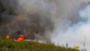 Pedro Sánchez propone un pacto nacional ante "la emergencia climática" en plenos incendios en España