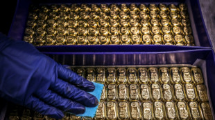 Bolsas asi&aacute;ticas caen, oro y petr&oacute;leo suben por crisis en Ucrania